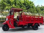 Motorni tricikl 2000 kg Teško opterećenje