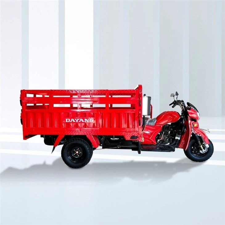 250cc 3 Wheels Cargo Dump