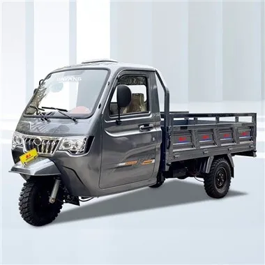 Zatvoreni 3 Wheels Cargo Motocar