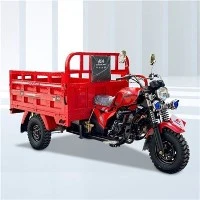 110cc 3 Wheels Motor Farm