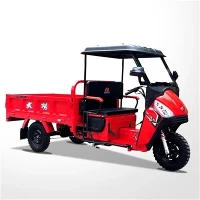 250cc Cargo Motor Tricikl Motocikli