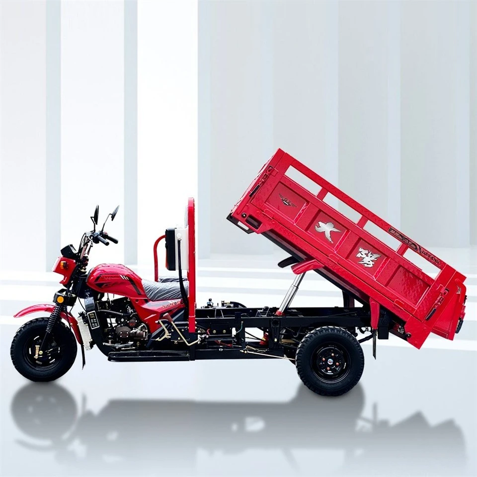 Trike 3 Wheel Trike Motor Carge Motorcycle